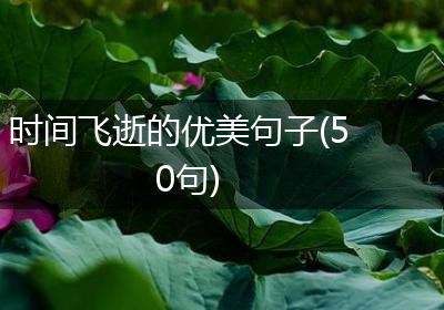 时间飞逝的优美句子(50句)