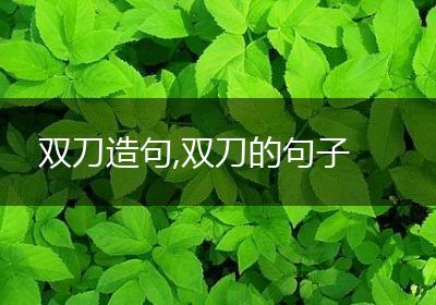 双刀造句,双刀的句子