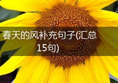 春天的风补充句子(汇总15句)