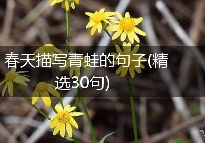 春天描写青蛙的句子(精选30句)