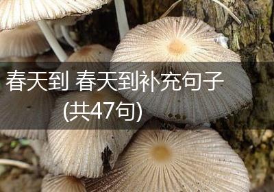 春天到 春天到补充句子(共47句)