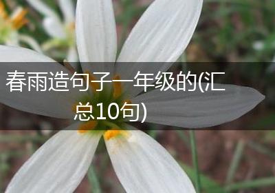 春雨造句子一年级的(汇总10句)