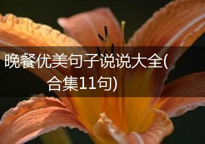 晚餐优美句子说说大全(合集11句)