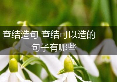 查结造句 查结可以造的句子有哪些