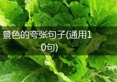 景色的夸张句子(通用10句)
