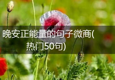 晚安正能量的句子微商(热门50句)
