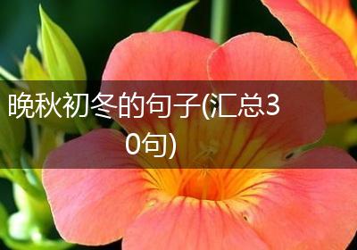 晚秋初冬的句子(汇总30句)