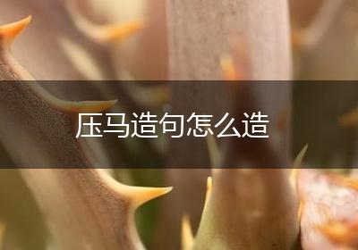 压马造句怎么造