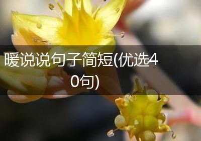 暖说说句子简短(优选40句)