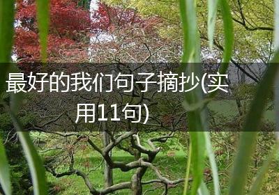 最好的我们句子摘抄(实用11句)