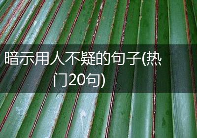 暗示用人不疑的句子(热门20句)