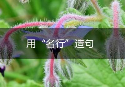 用“名行”造句