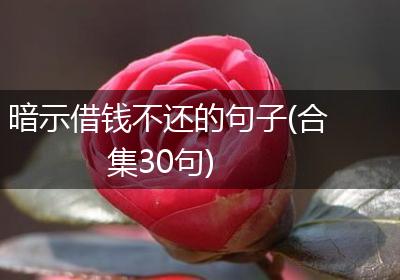 暗示借钱不还的句子(合集30句)