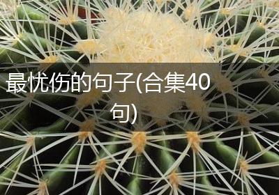 最忧伤的句子(合集40句)