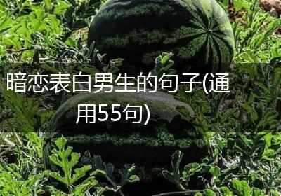 暗恋表白男生的句子(通用55句)