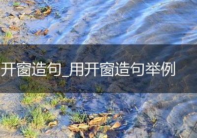 开窗造句_用开窗造句举例