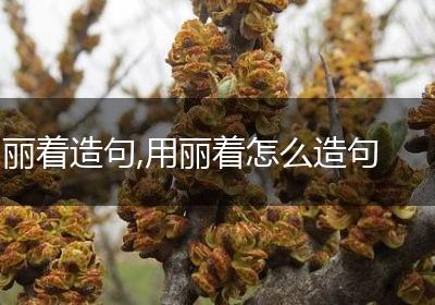 丽着造句,用丽着怎么造句