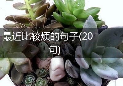 最近比较烦的句子(20句)