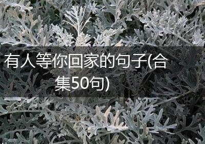 有人等你回家的句子(合集50句)