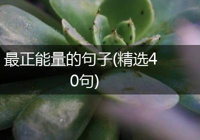 最正能量的句子(精选40句)
