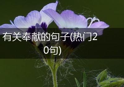有关奉献的句子(热门20句)