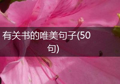 有关书的唯美句子(50句)