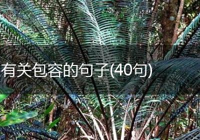 有关包容的句子(40句)