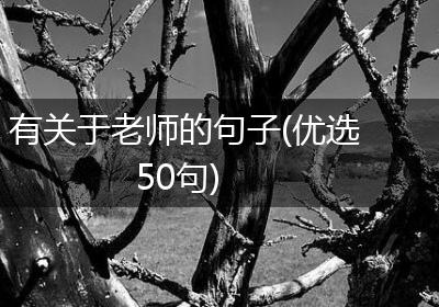 有关于老师的句子(优选50句)