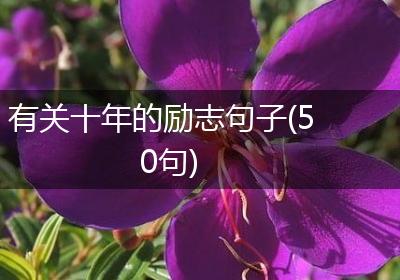 有关十年的励志句子(50句)