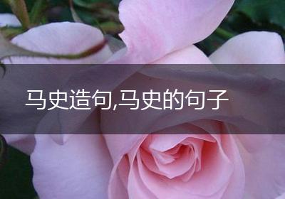 马史造句,马史的句子