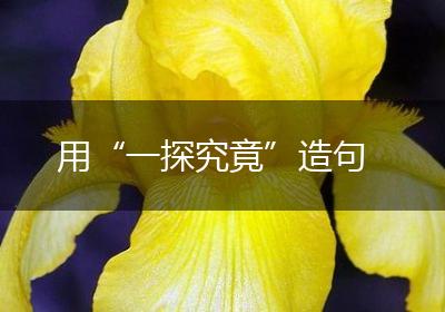 用“一探究竟”造句