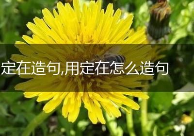 定在造句,用定在怎么造句