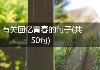 有关回忆青春的句子(共50句)