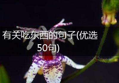 有关吃东西的句子(优选50句)