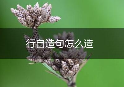 行自造句怎么造