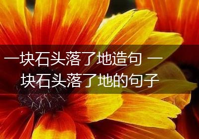 一块石头落了地造句 一块石头落了地的句子