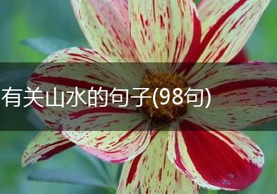 有关山水的句子(98句)