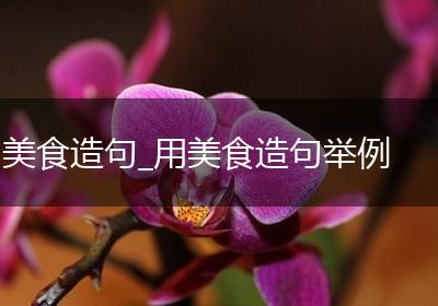 美食造句_用美食造句举例