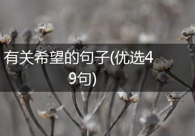 有关希望的句子(优选49句)
