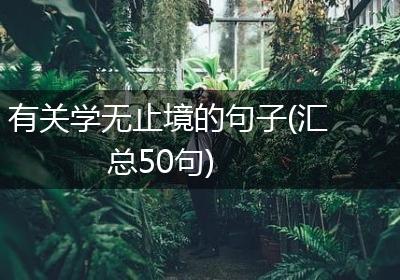 有关学无止境的句子(汇总50句)