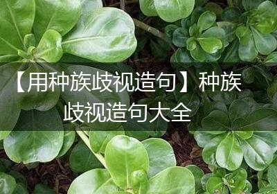 【用种族歧视造句】种族歧视造句大全