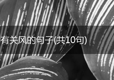 有关风的句子(共10句)