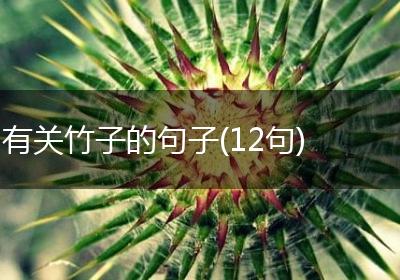 有关竹子的句子(12句)