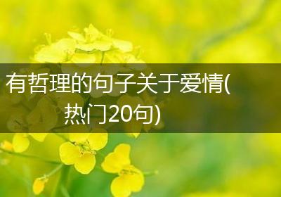 有哲理的句子关于爱情(热门20句)
