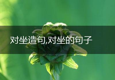 对坐造句,对坐的句子