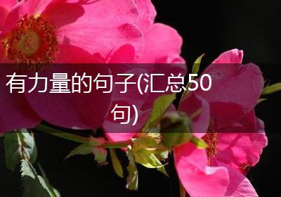 有力量的句子(汇总50句)