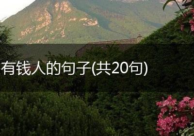 有钱人的句子(共20句)