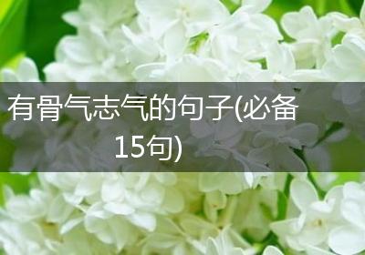 有骨气志气的句子(必备15句)