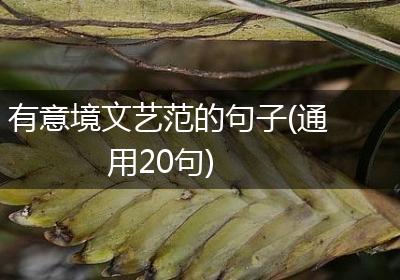 有意境文艺范的句子(通用20句)