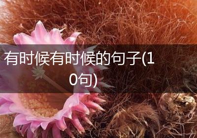 有时候有时候的句子(10句)